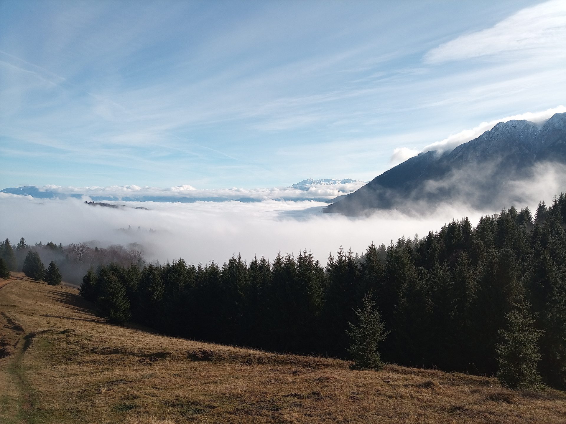 Out&About Wildernisreis — echte veldopname door ongerepte natuur